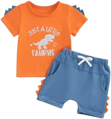Adorable Dinosaur Embroidery Toddler Sets