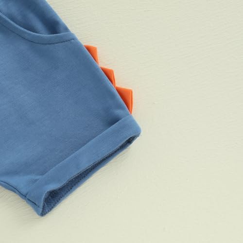 Adorable Dinosaur Embroidery Toddler Sets