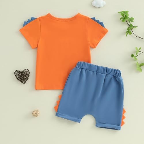 Adorable Dinosaur Embroidery Toddler Sets