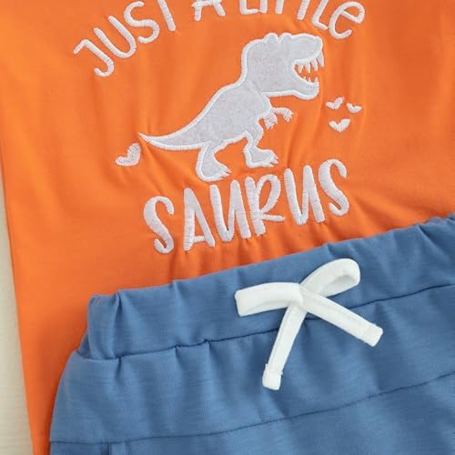 Adorable Dinosaur Embroidery Toddler Sets