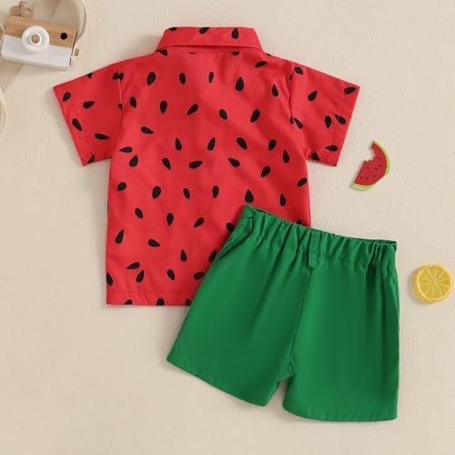 CIYCUIT Toddler Boy Summer Print Shirt Set