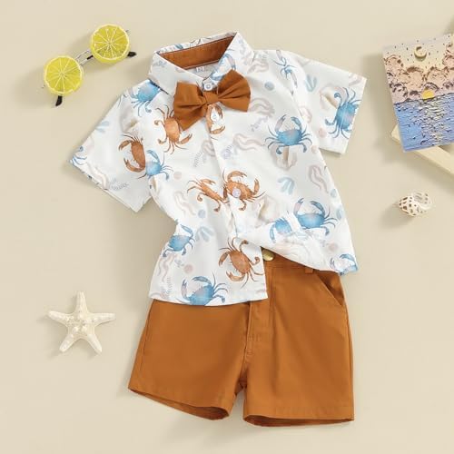 Licupiee Toddler Boys Ocean Print Shorts Set 2Pcs Crab Turtle Summer Outfits