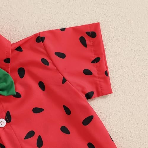 CIYCUIT Toddler Boy Summer Print Shirt Set