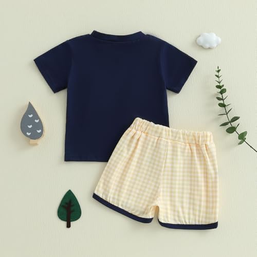 Toddler Baby Boy Summer Plaid Shorts Set with Duck Embroidery