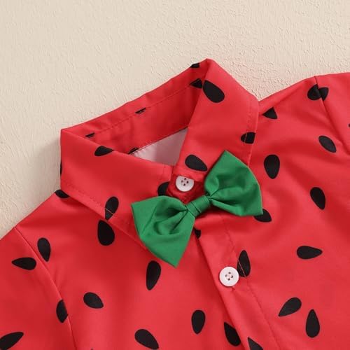 CIYCUIT Toddler Boy Summer Print Shirt Set