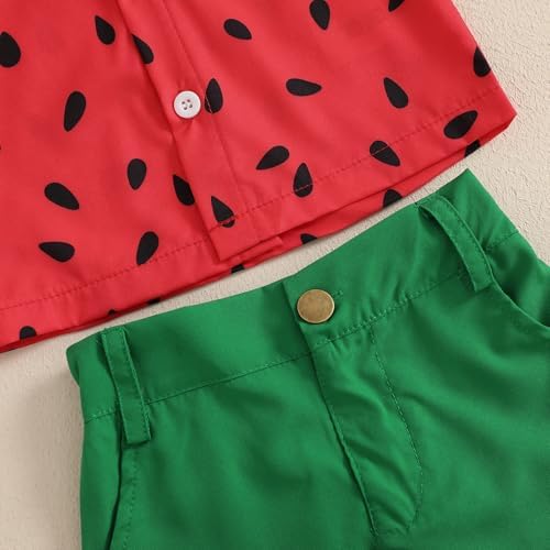 CIYCUIT Toddler Boy Summer Print Shirt Set