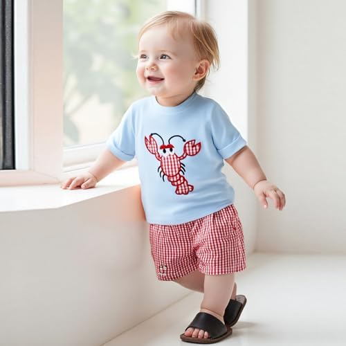 Gaono Toddler Boy Summer crab lobster embroidery t-shirt plaid shorts set
