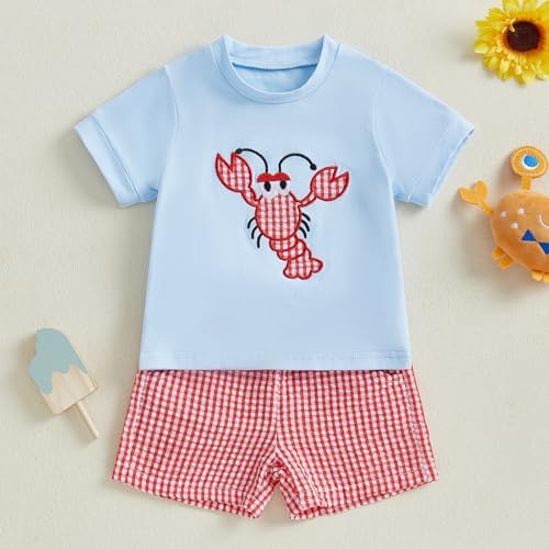 Gaono Toddler Boy Summer crab lobster embroidery t-shirt plaid shorts set