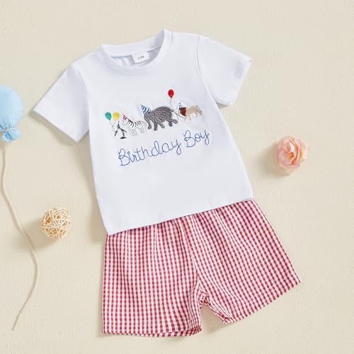 Toddler Boy Birthday Embroidered Set