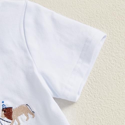 Toddler Boy Birthday Embroidered Set