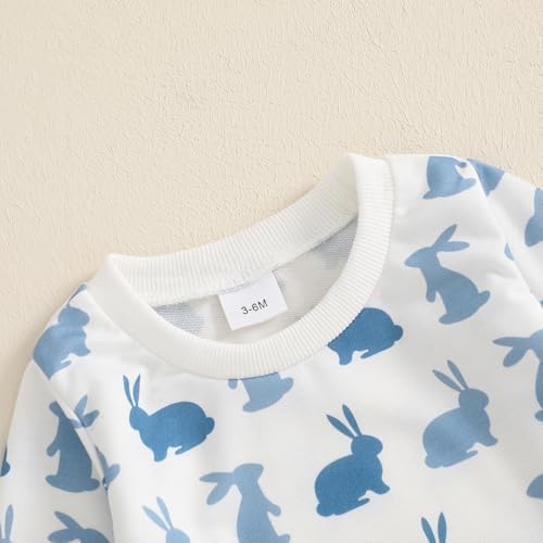 Bunny Long sleeve sweater and pants set for babies