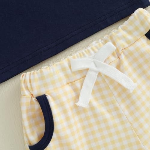 Toddler Baby Boy Summer Plaid Shorts Set with Duck Embroidery
