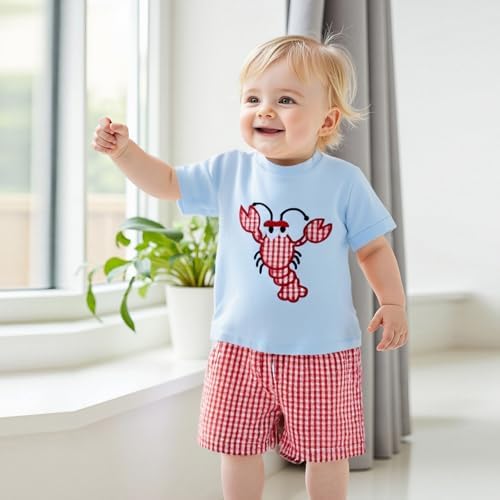 Gaono Toddler Boy Summer crab lobster embroidery t-shirt plaid shorts set