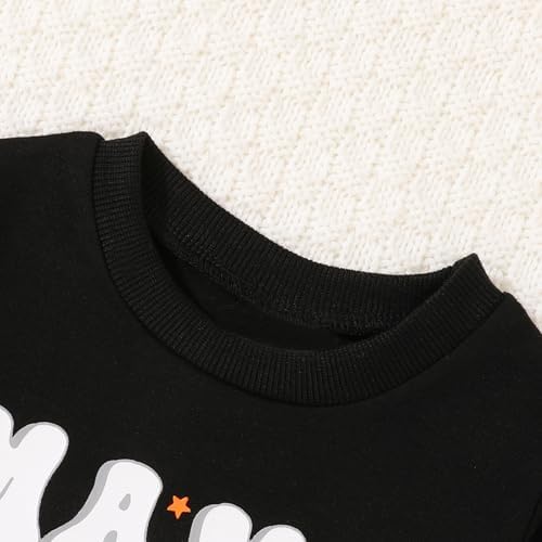 SanMio Toddler Boys Outfits 2PCS FallWinter Long Sleeve Pullover Set