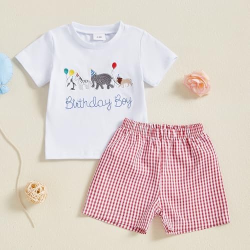 Toddler Boy Birthday Embroidered Set