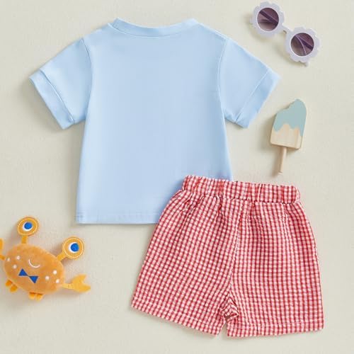 Gaono Toddler Boy Summer crab lobster embroidery t-shirt plaid shorts set
