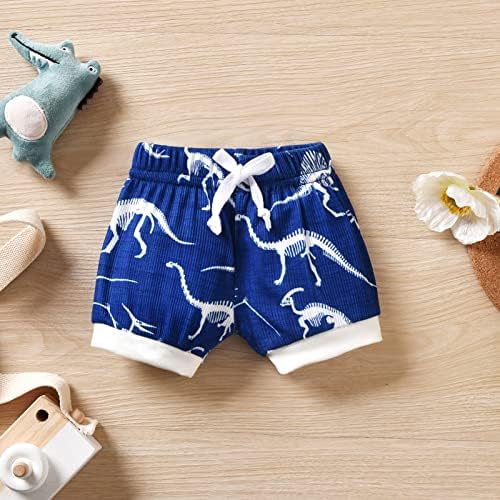 Perfect Newborn Dinosaur Outfit for Boys