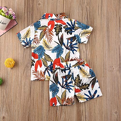 Little Hawaiian Shorts Qiylii Summer Toddler Boys Outfit